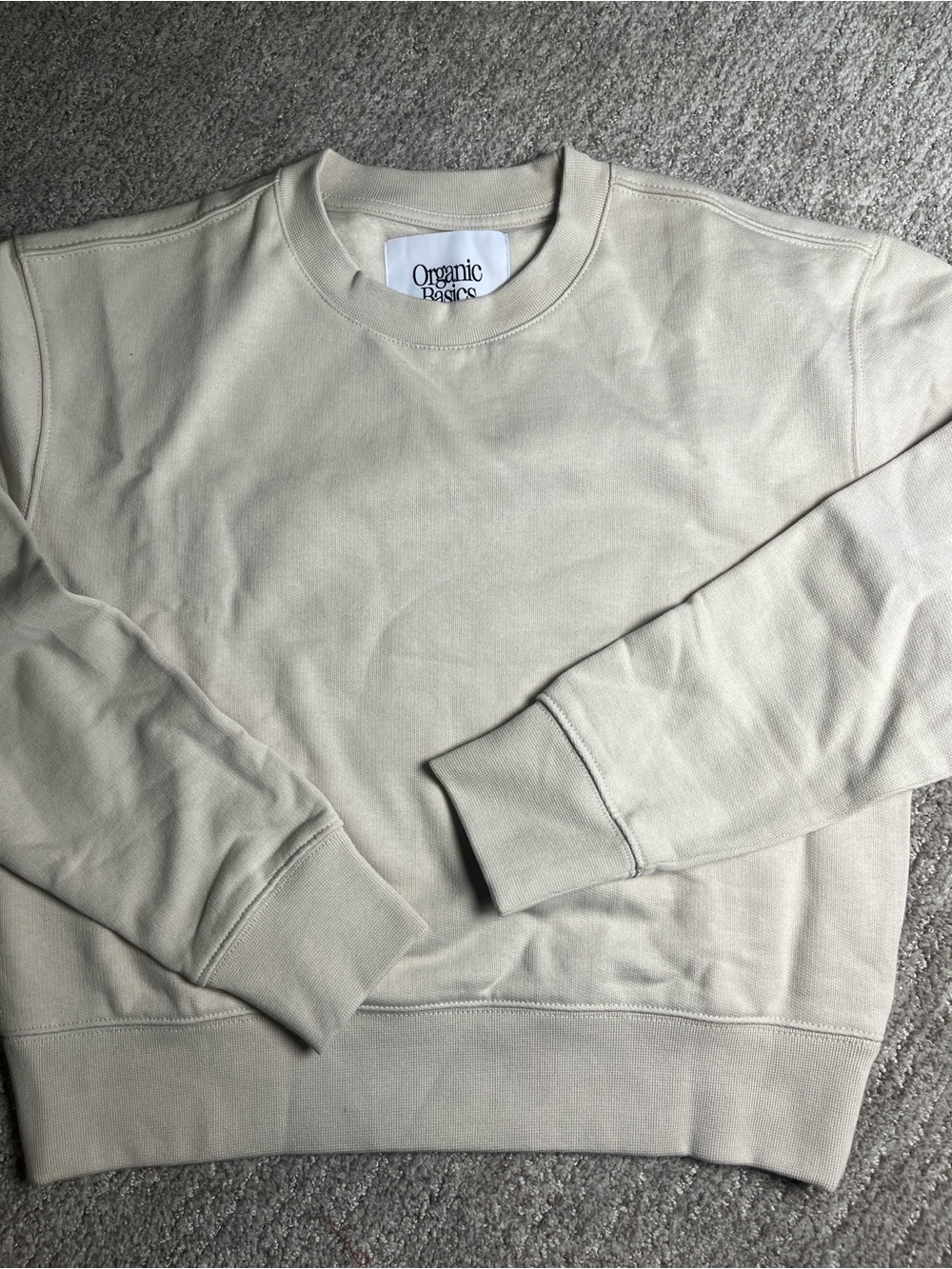 Organic Basic Weekend Boxy Crewneck Sweatshirt, SandstoneX-Small 543/bb15-1:v - Picture 6 of 10
